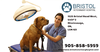 Hours Emergency Animal Hospital Mississauga Image